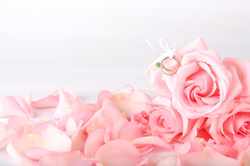 pink roses with wedding rings. wedding romantic background