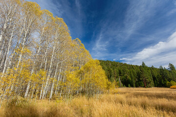 Sunny view with beautiful fall color along the Hope Valley in Lake Tahoe area