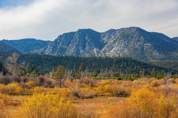 Sunny view with beautiful fall color along the Hope Valley in Lake Tahoe area