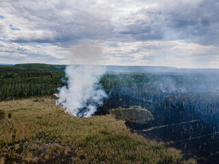 Waldbrand in Brandenburg