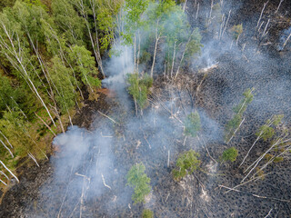 Waldbrand in Brandenburg