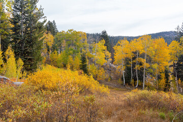 Fototapeta premium High angle view of some landscape around Lake Tahoe area