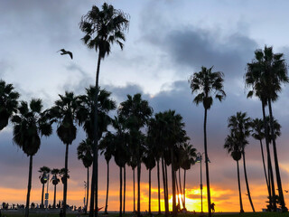 Obraz premium Beach sunset in Venice, CA in winter