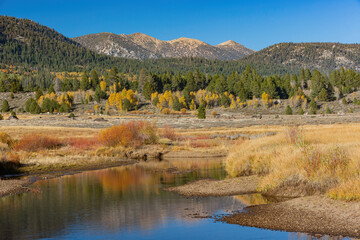 Sunny view with beautiful fall color along the Hope Valley in Lake Tahoe area