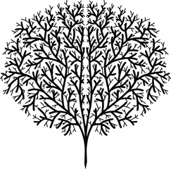 Tree of Life Hand Drawn Design Vector