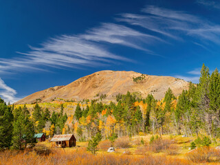 Sunny view with beautiful fall color along the Hope Valley in Lake Tahoe area