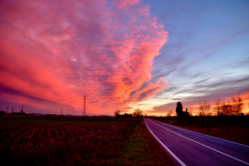 beautiful red-pink sunset and road in the fields