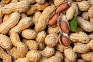 a lot of peanuts almost all closed and a few open and green leaf