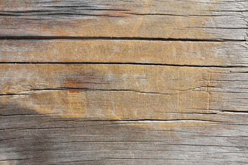 Old wood texture background