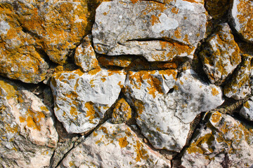 Stone wall with lichens, Serra da Arrábida, Portugal