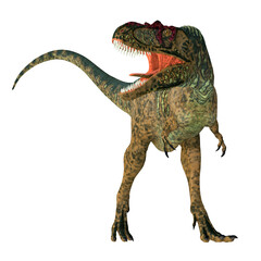Fototapeta premium Albertosaurus Dinosaur Front - Albertosaurus was a carnivorous theropod dinosaur that lived in North America during the Cretaceous Period.