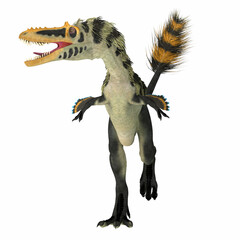Alioramus altai Dinosaur Front - Alioramus altai was a theropod carnivorous dinosaur that lived Mongolia during the Cretaceous Period.