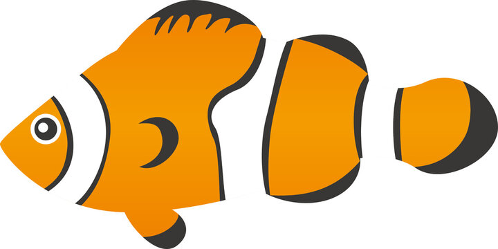 1 178 Best カクレクマノミ Images Stock Photos Vectors Adobe Stock