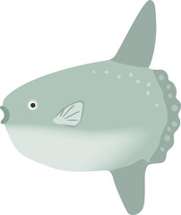 泳いでいるマンボウのイメージイラスト