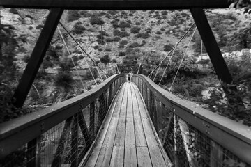 Suspension bridge to an island in the Missouri River, in Montana (Black and White)