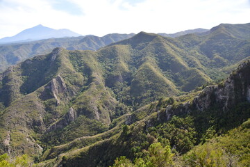 Fototapeta premium PAISAJE