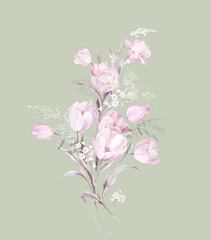 Flowers watercolor illustration.Manual composition.Big Set watercolor elements，Design for textile, wallpapers，Element for design,Greeting card