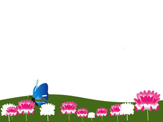 れんげ原っぱ白バック © リブラ　セプテンベル