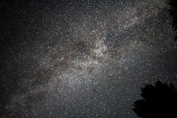 The Milky Way and Night Skies in Montana during the Perseid Meteor Shower