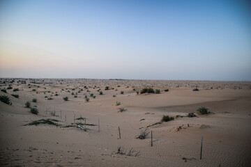 Dubai is the most populous city in the United Arab Emirates (UAE) and the capital of the Emirate of Dubai.