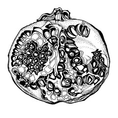 Black line art ornate pomegranate with seeds isolated on white background. Art creative hand-drawn object for coloring book, menu, textile, card, sticker, wallpaper, wrapping
