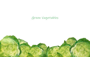 キャベツ畑の水彩画　白背景