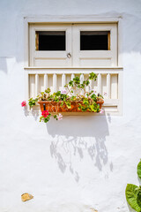 old wooden window with florwers