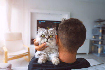pet with owner. Young man resting with his lovely cat on his shoulder in the living room. Domestic...