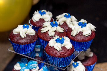 Cupcakes with icing.
