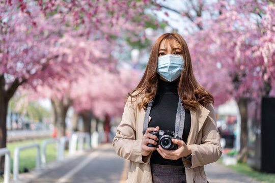 woman traveler wearing face mask and looking cherry blossoms or sakura flower blooming in the park