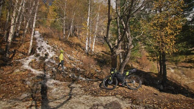 The woman travel on mixed terrain cycle touring with bikepacking. The traveler journey with bicycle bags. Sportswear in green black colors. The trip in magical autumn forest, river stream.