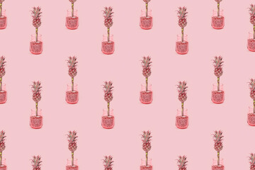 Pattern with Exotic flower Dwarf Ornamental Pineapple in glass vase. Trendly unusual plant for romantic holiday. Minimal style.