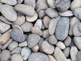 Fototapeta na wymiar many small round rock on ground in garden