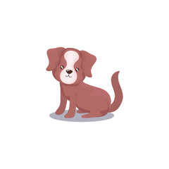 pet, brown dog animal domestic white background