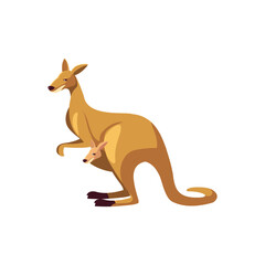 kangaroo portrait of wild australian animal, isolated on white background