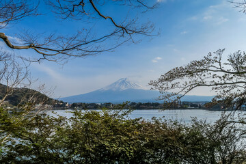 Mount Fuji in Spring 