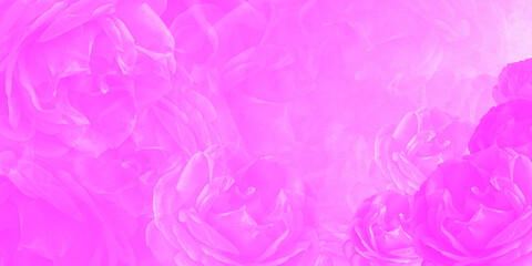 Obraz premium beautiful blur pink roses background, wallpaper,name card, template, copy space