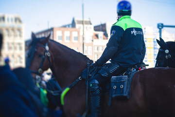 Dutch police squad formation and horseback riding mounted police back view with 
