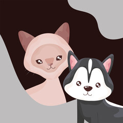 cute cat and dog domestic animals cartoon pets