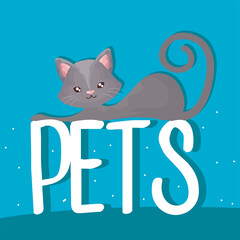 gray cute cat resting on pets lettering cartoon