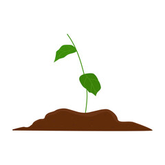 A green sprout growing in the soil. Seedling in the ground. Spring planting concept. Vegetative development. Vector illustration . Flat style.