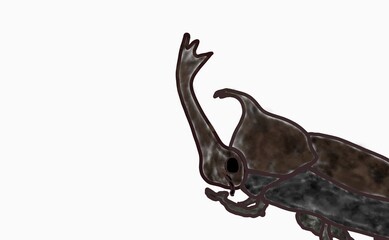 何かを考えるカブトムシ