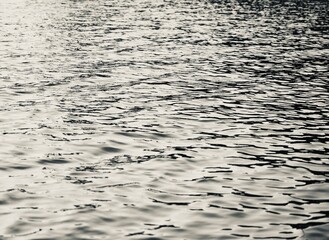 부드러운 호수 물결배경 이미지 
