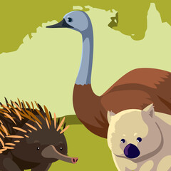 emu wombat and hedgehog australian continent map animal wildlife