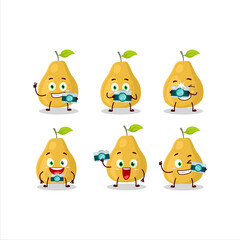 Photographer profession emoticon with pomelo cartoon character