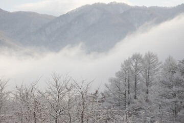 Obraz na płótnie Canvas Winter scenery, Hakuba Village, Nagano Prefecture, Japan