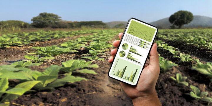 agriculture technology concept man Agronomist Using a Tablet Internet of things report.
