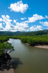 Goyoshi River flowing between a lush mangrove forest, mountains and blue sky in the background, Iriomote Island.