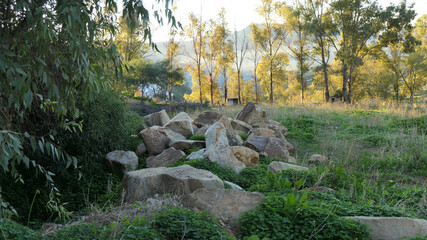 Rural field surrounded by eucalyptus trees and large rock pile