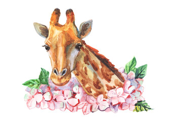 Giraffe and pink hydrangeas watercolor hand painted